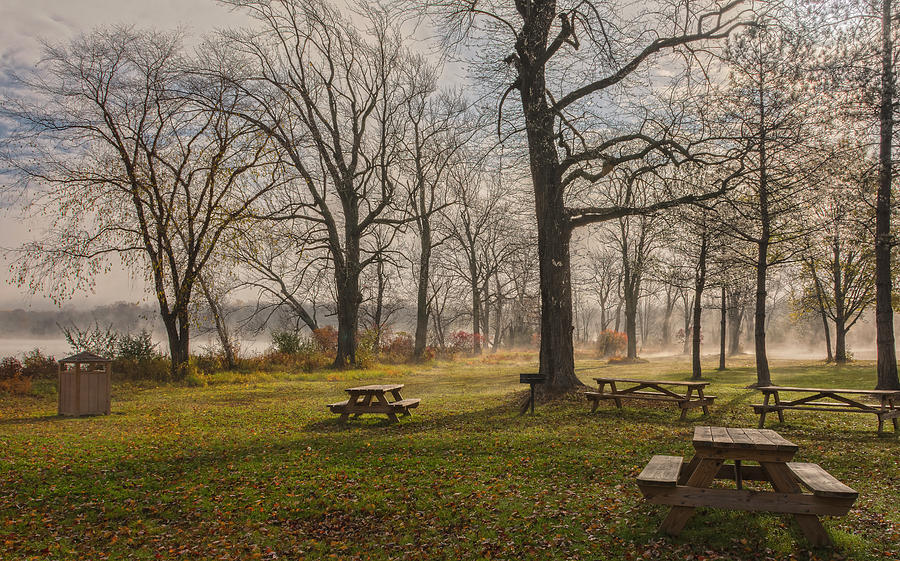 Misty November Picnic Grove Photograph by Angelo Marcialis