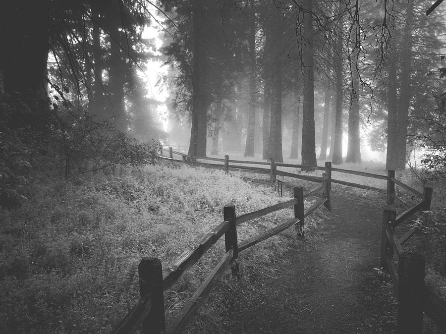 Misty Path Along Fence Digital Art by Kevyn Bashore