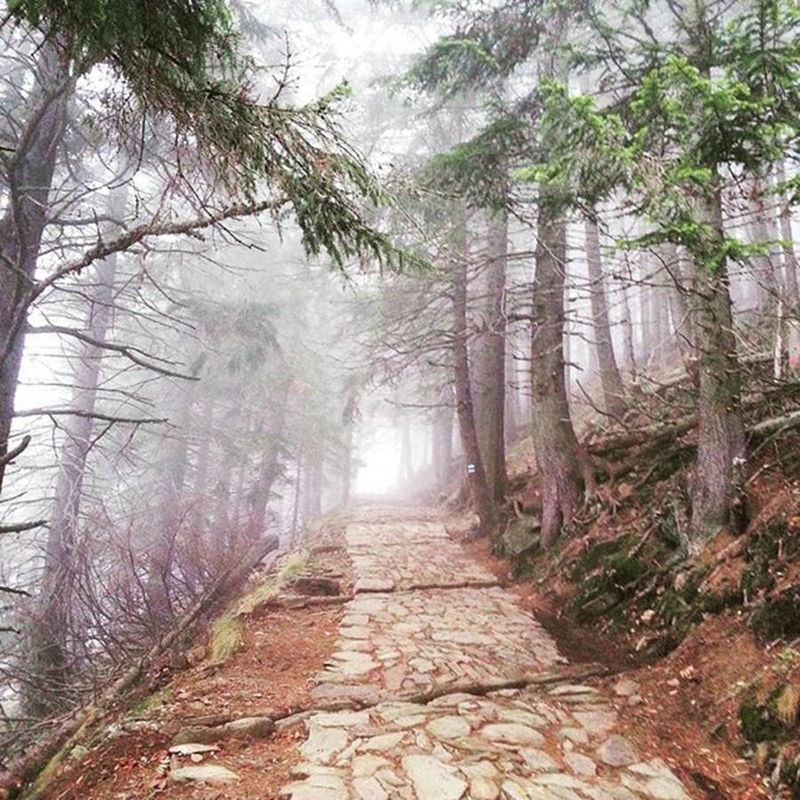 Holiday Photograph - Misty Path To Snezka by Eva Dobrikova