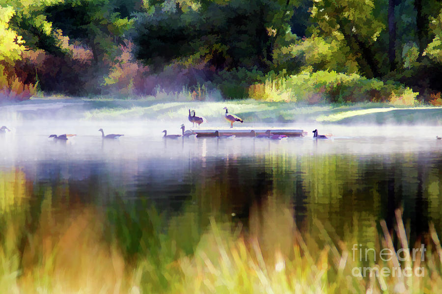 Misty Pond 6 AM Paint  Photograph by Chuck Kuhn
