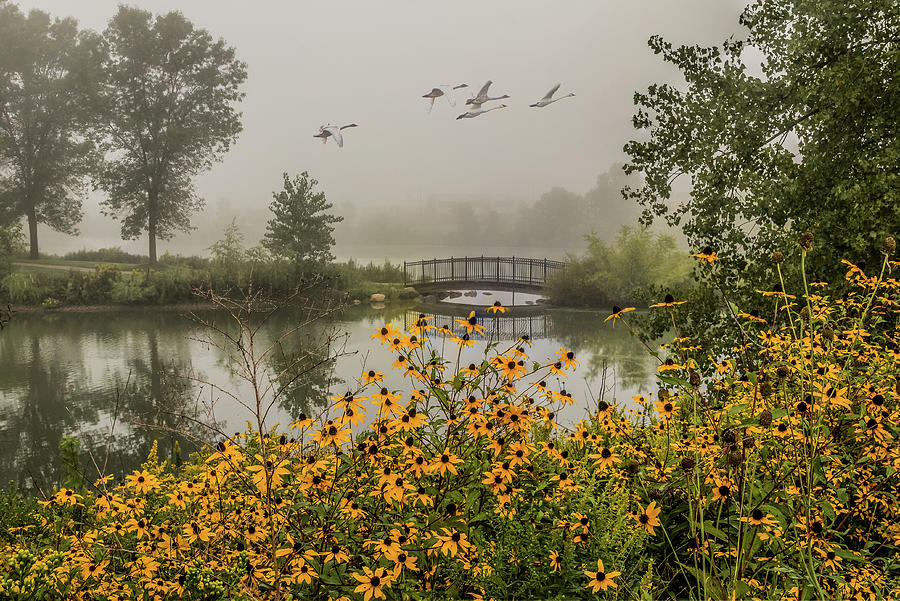 Misty Pond Bridge Reflection #1 Photograph by Patti Deters