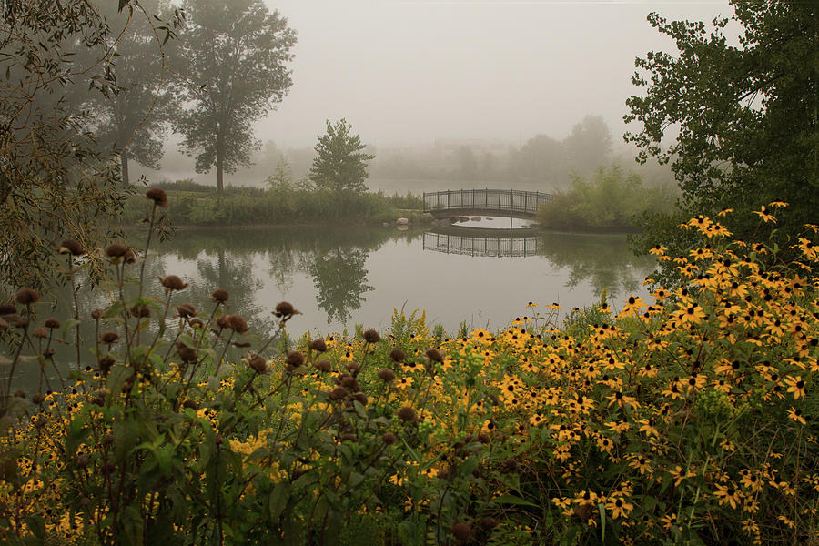 Misty Pond Bridge Reflection #2 Photograph by Patti Deters