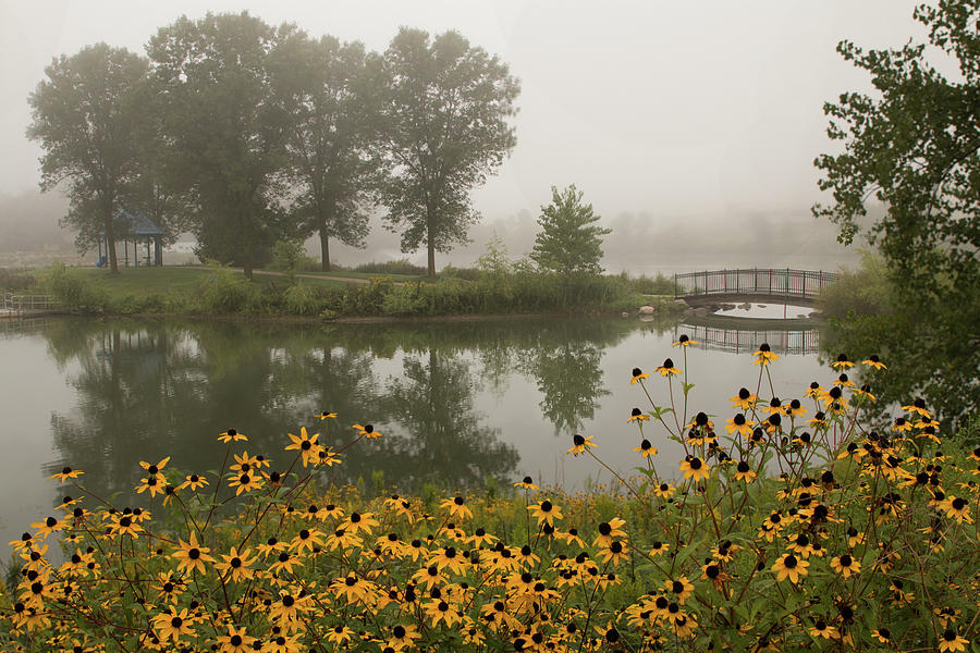 Misty Pond Bridge Reflection #3 Photograph by Patti Deters