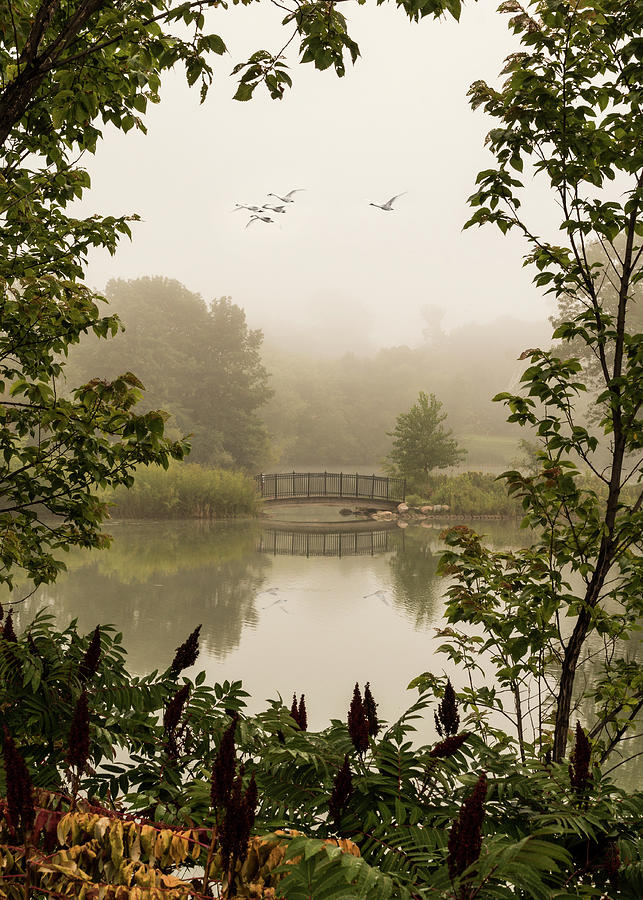 Misty Pond Bridge Reflection #6 Photograph by Patti Deters