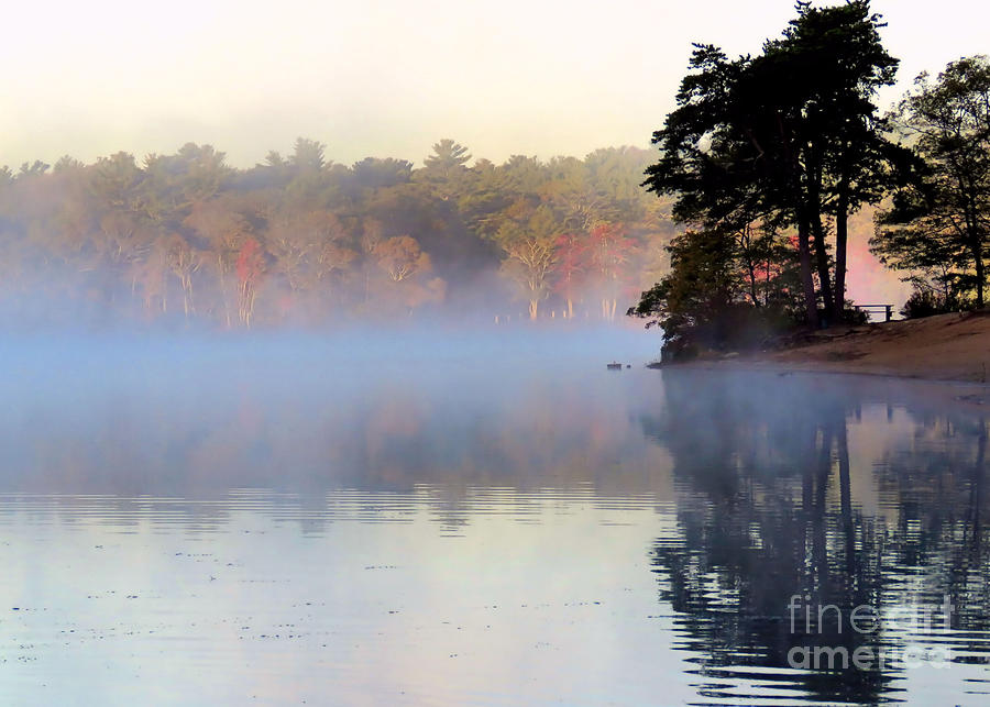 Misty Pond  Photograph by Janice Drew