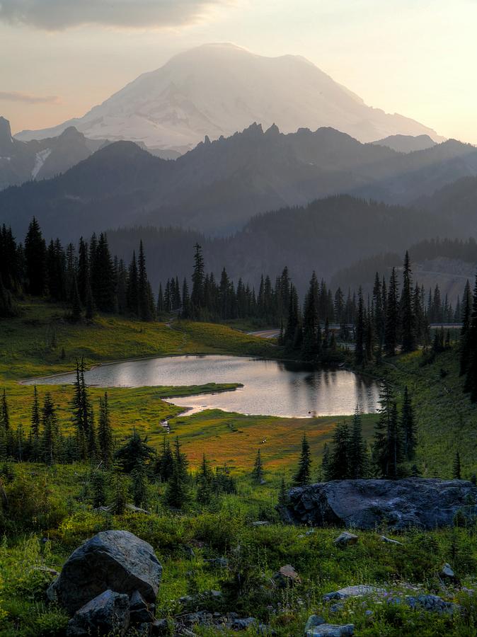 Misty Rainier at Sunset Photograph by Peter Mooyman