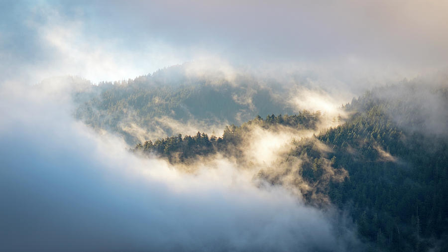 Misty Ridge 2 Photograph by Michael Hope