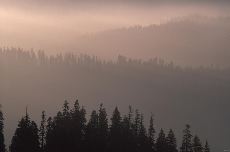 Misty Ridges And Valleys - Sequoia Photograph by Soli Deo Gloria ...