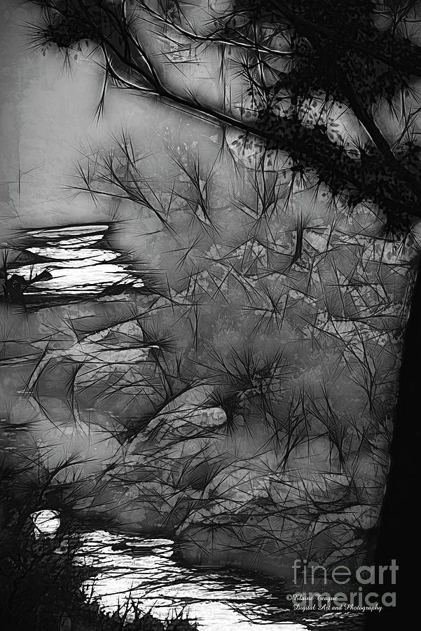 Abstract Photograph - Misty River by Elaine Teague