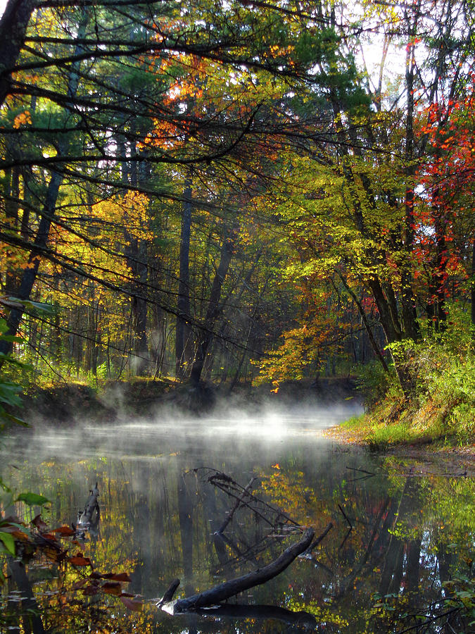 Misty Photograph - Misty River by Holly Cyr Misty Photograph - Misty River by Holly Cyr