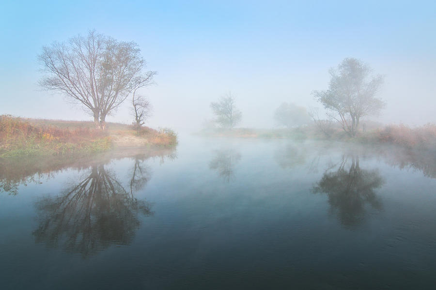 Tree Photograph - Misty river by Stanislav Salamanov
