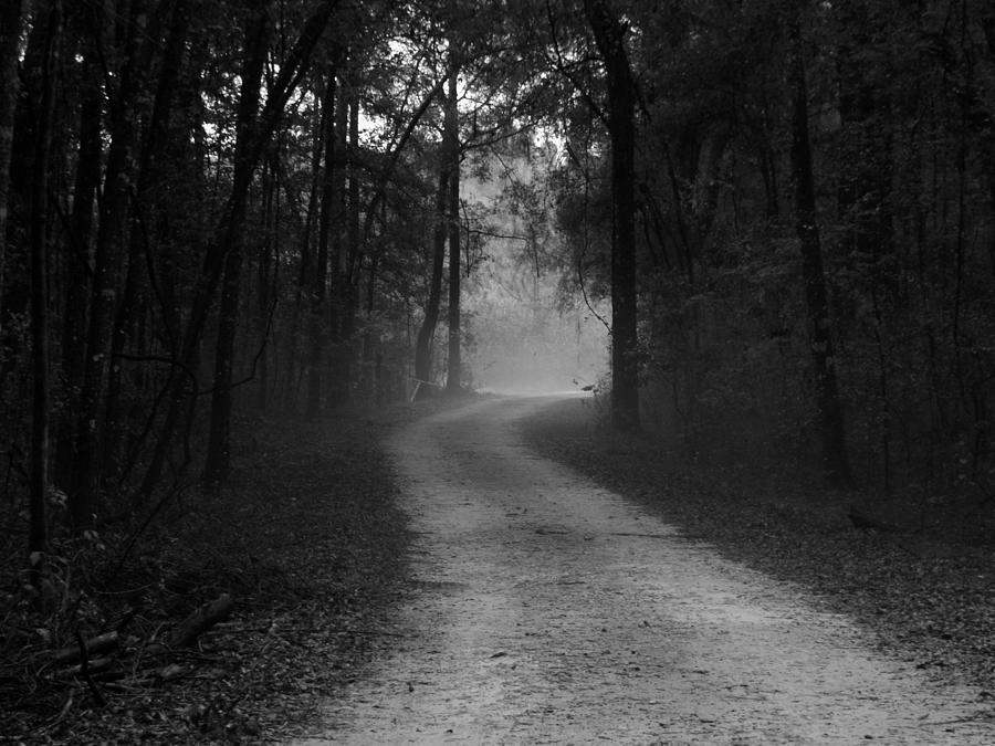 Misty Road Photograph by Julie Pappas
