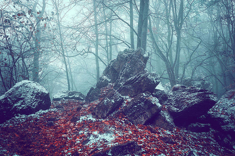 Misty Rocks Photograph by Jenny Rainbow
