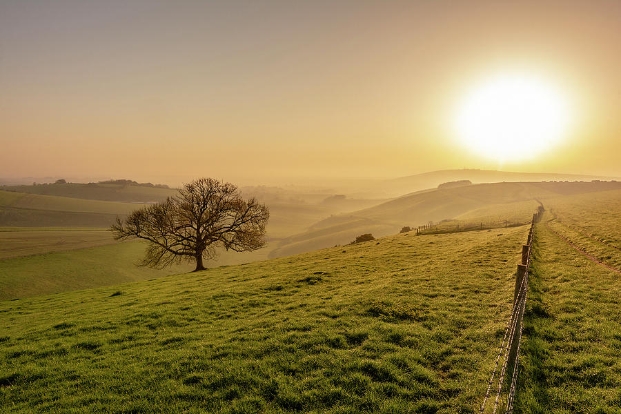 Bowl Photograph - Misty South Downs Way by Hazy Apple