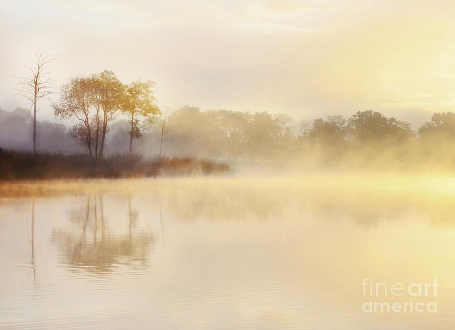 Tree Photograph - Misty Sunrise Loch Ard by Janet Burdon
