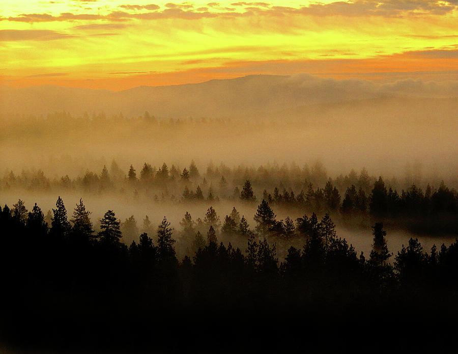 Misty Sunrise Photograph by Ben Upham III