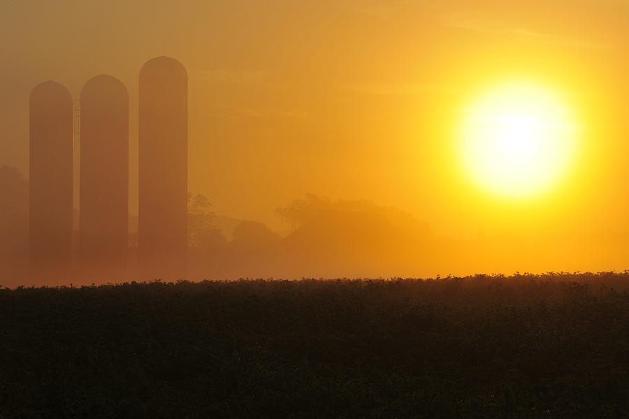 Misty Sunrise Photograph by Dan Myers