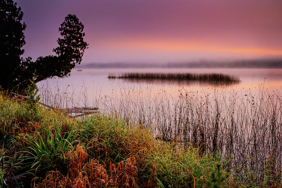 Misty Sunrise Photograph by David Heilman