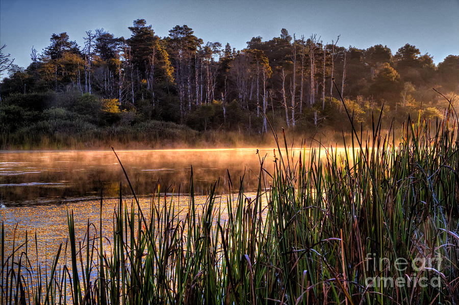 Pond Photograph - Misty Sunrise, Fort Bragg by Paul Gillham
