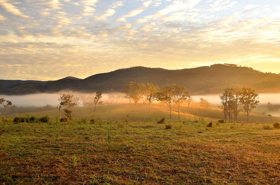 Countryside Photograph - Misty Sunrise - Gloucester NSW by Christopher Vidal