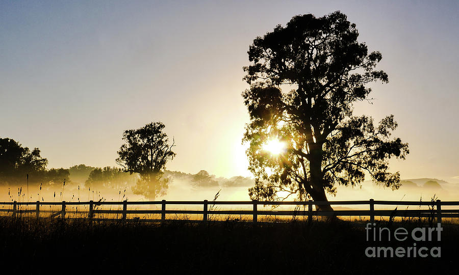 Misty Sunrise in Tumut Photograph by Lexa Harpell