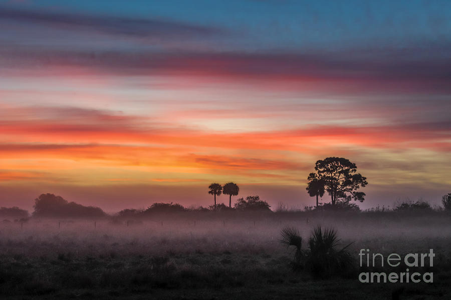 Misty Sunrise Photograph by Liesl Walsh