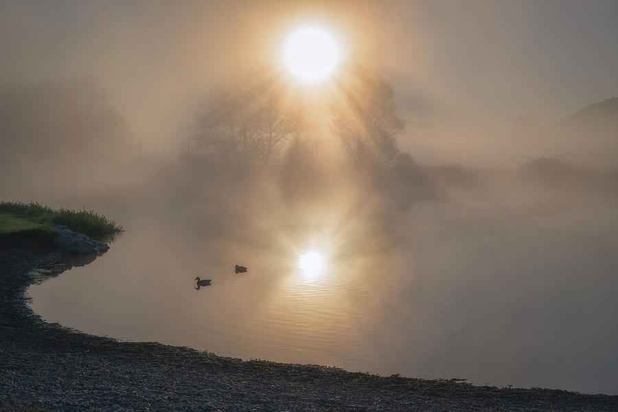 Misty Sunrise Photograph