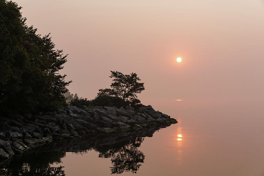 Salmon Photograph - Misty Sunrise on the Lake - Soft Pink Fog and Sunshine by Georgia Mizuleva