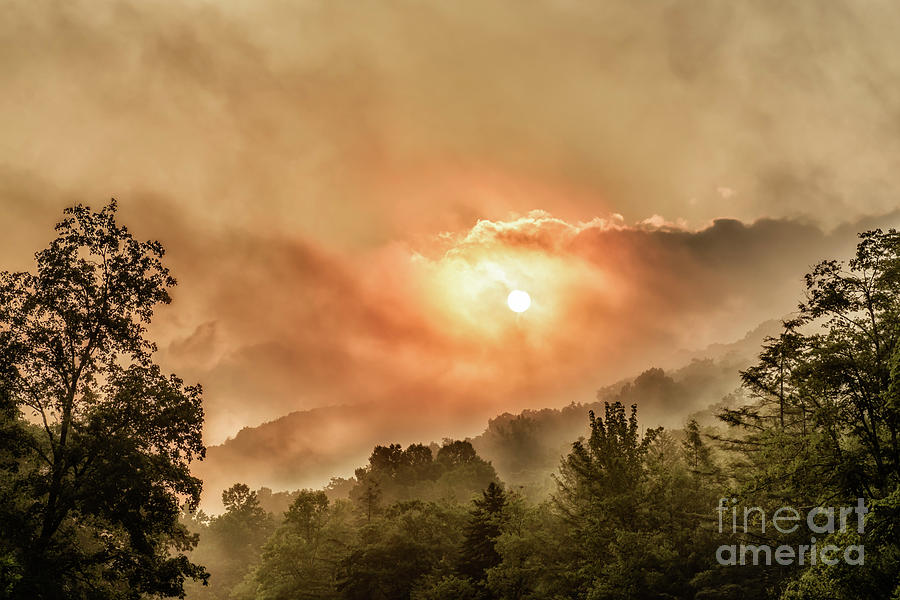 Misty Sunrise on the Mountain  Photograph by Thomas R Fletcher