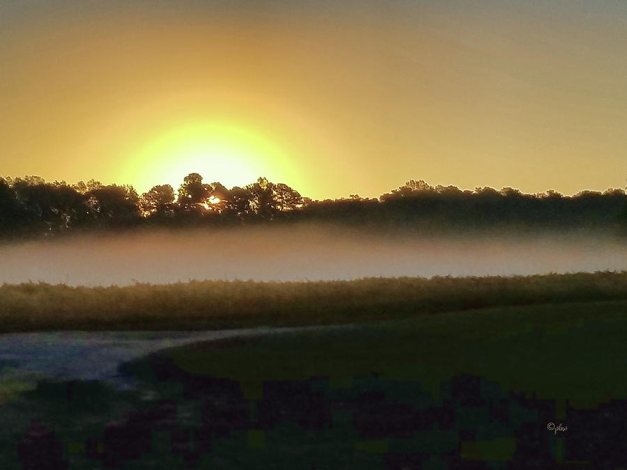 Misty Sunrise Photograph