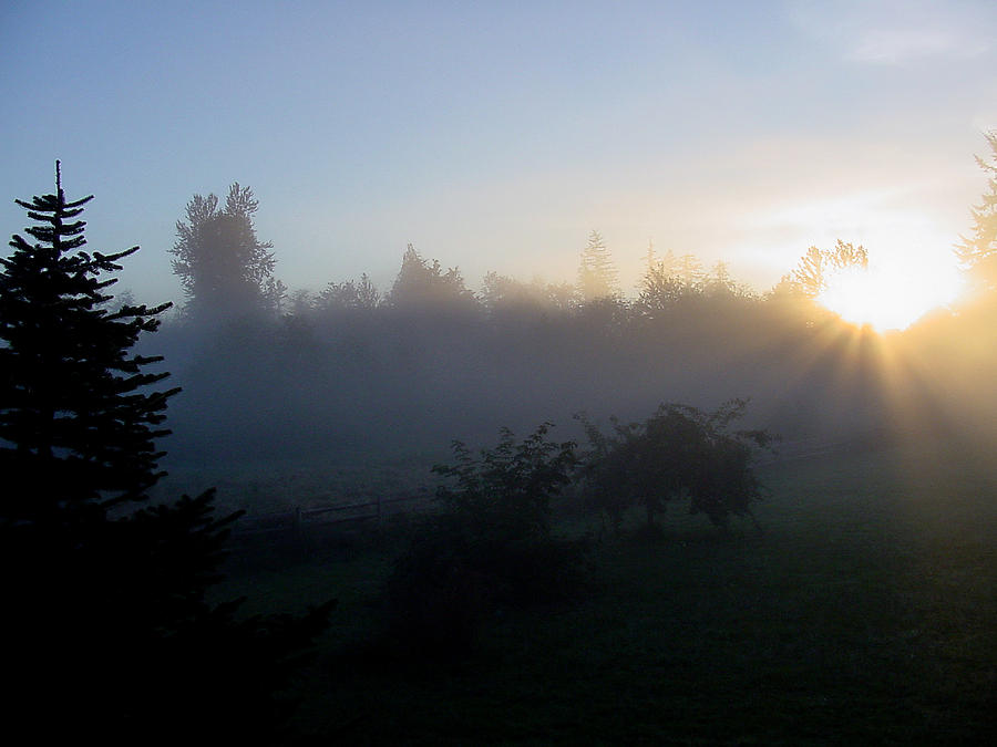 Misty Sunrise Photograph by Shirley Heyn