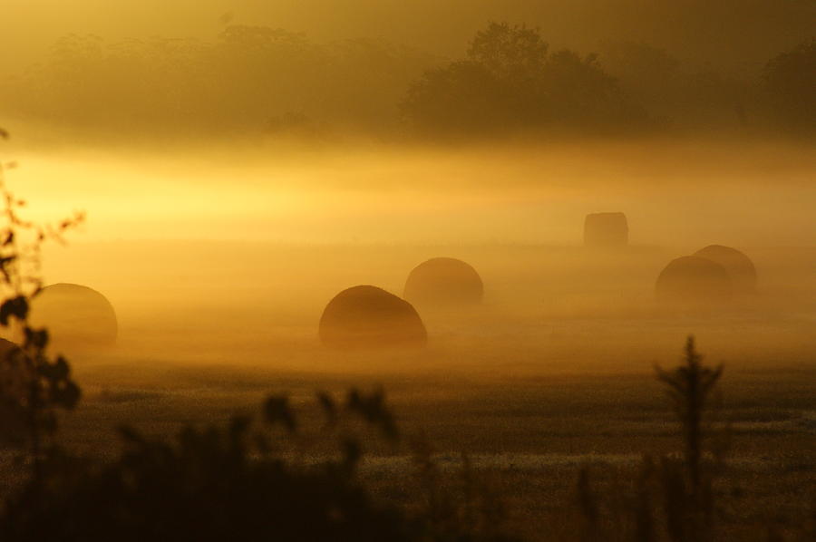 Misty Sunrise Photograph by Theresa Cangelosi