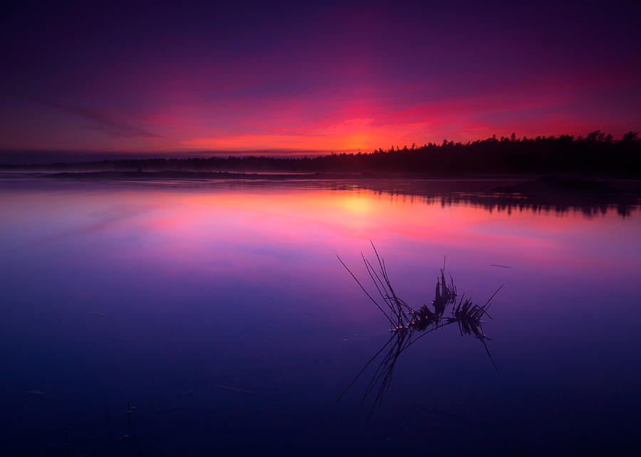 Misty sunset at Singing Sands Beach Photograph by Cale Best