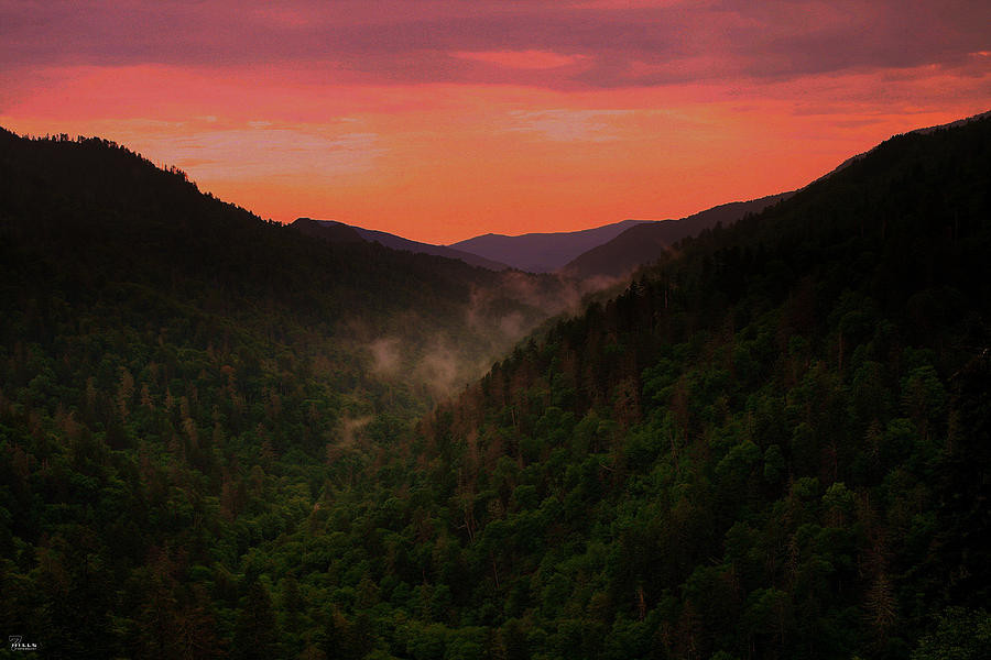 Nature Photograph - Misty Sunset by Jason Blalock