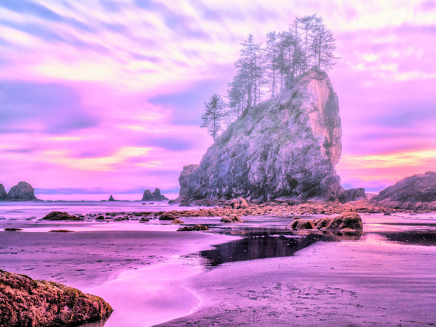 Sunset Photograph - Misty Sunset - Olympic Peninsula by Dominic Piperata