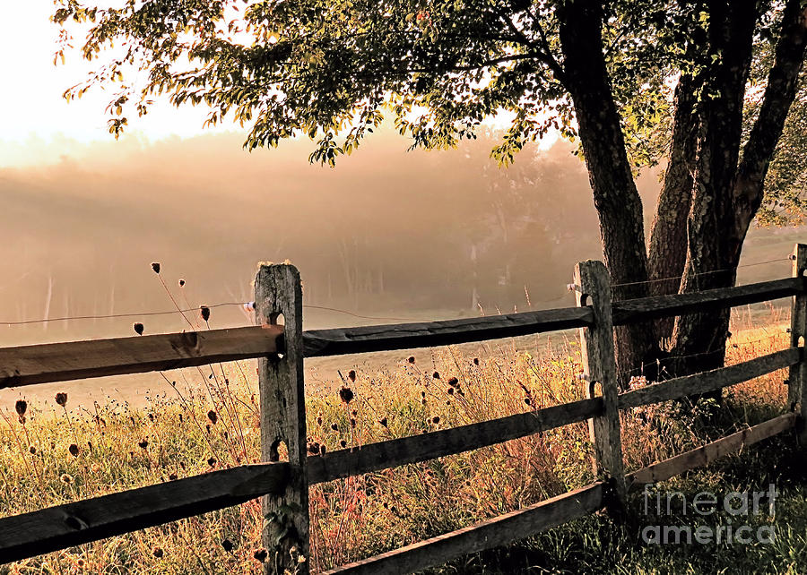 Farm Photograph - Misty Sunshine by Janice Drew