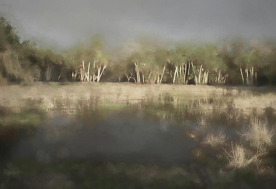 Misty Swamp Photograph by Rosalie Scanlon