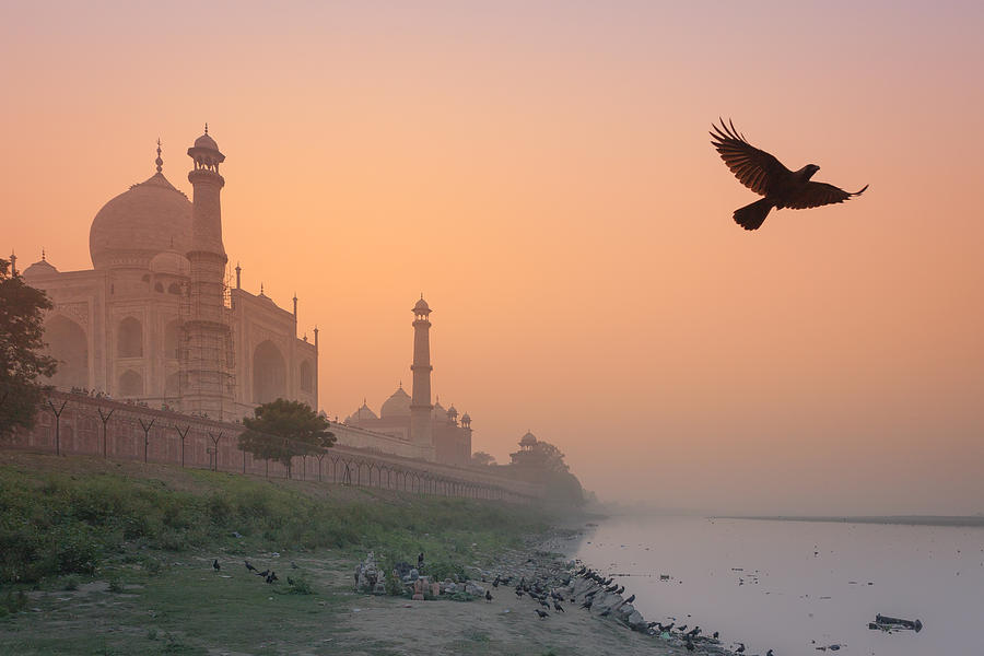 Taj Mahal Photograph - Misty Taj Mahal by Marji Lang Taj Mahal Photograph - Misty Taj Mahal by Marji Lang