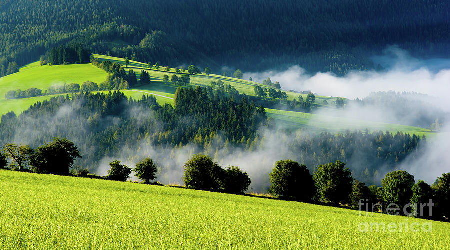 Misty valley in Austria Photograph by Andreas Berthold