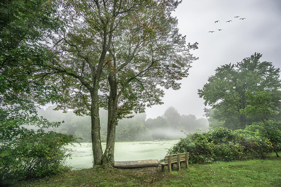 Misty View Photograph by June Marie Sobrito