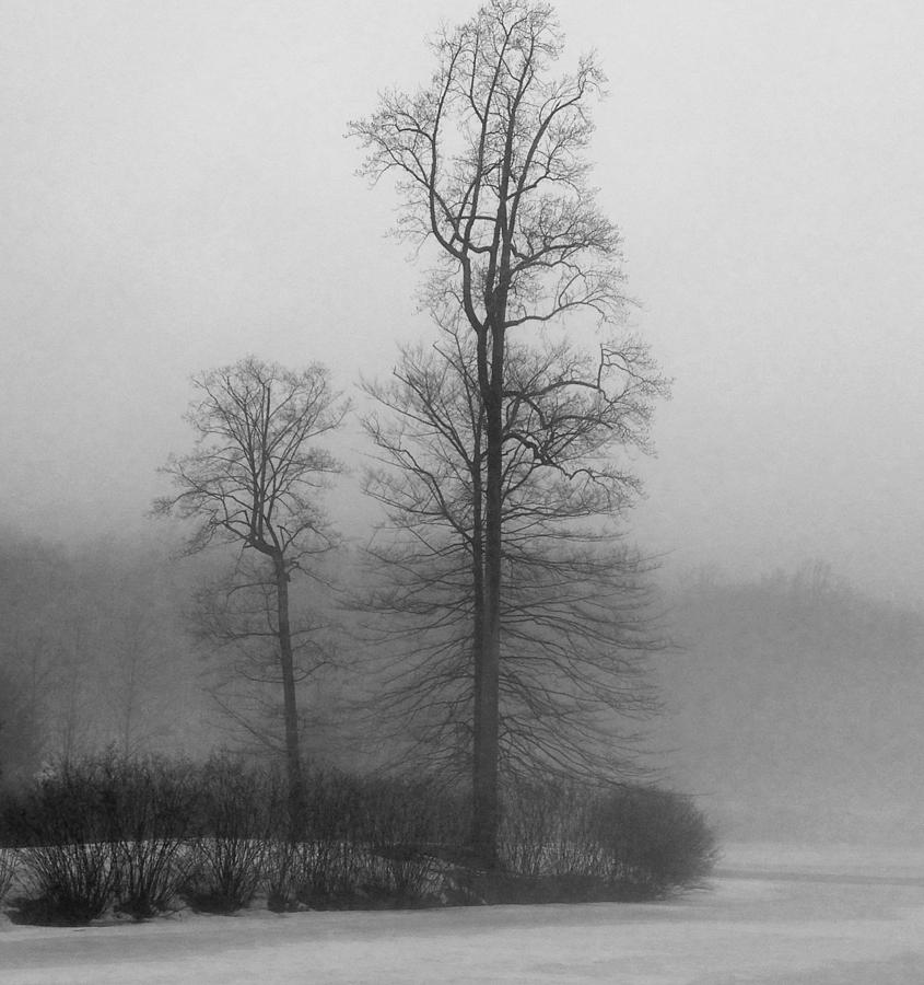 Misty Winter Day Photograph by GeeLeesa Productions
