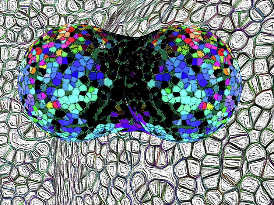 Mitosis between Consenting Cells Digital Art by Bruce IORIO