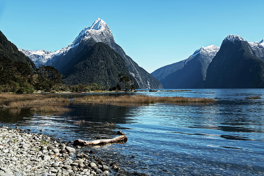 Mitre Peak at Milford Sound Photograph by Catherine Reading