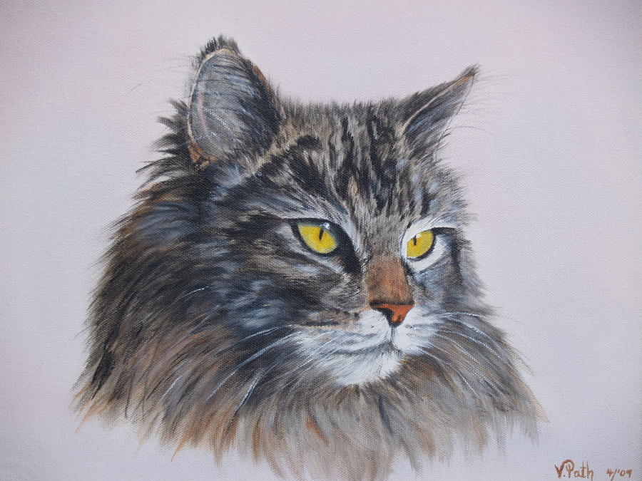 Mitze Maine Coon Cat Painting by Vicky Path Fine Art America