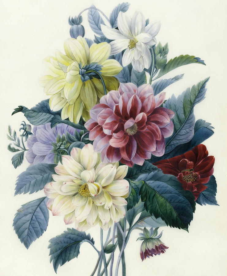 Mixed Dahlias Painting by Elisa-Emilie Lemire - Fine Art America