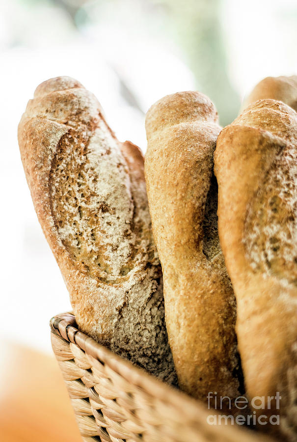 Mixed French Organic French Baguette Bread In Bakery Display Photograph ...