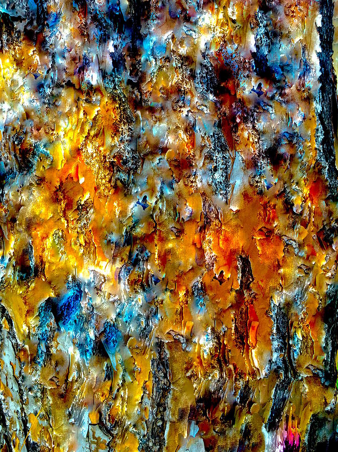 Abstract Mixed Media - A Place Where Color Is Born by Wayne Cantrell