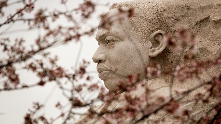 MLK in DC Photograph by Jack Nevitt