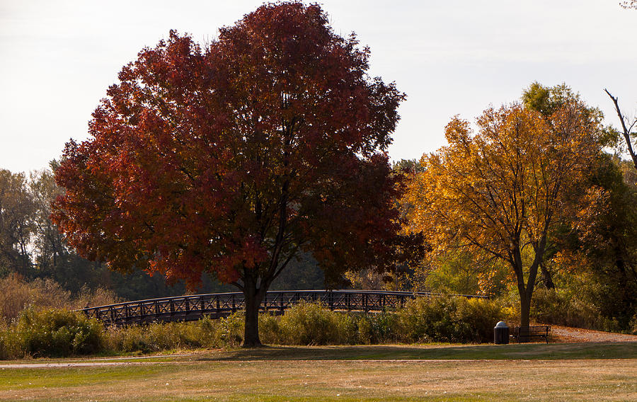 MN Fall Colors Photograph by Arnold Hence MN Fall Colors Photograph by Arnold Hence