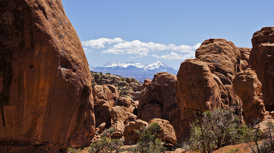 Moab Photograph by Brian Kamprath